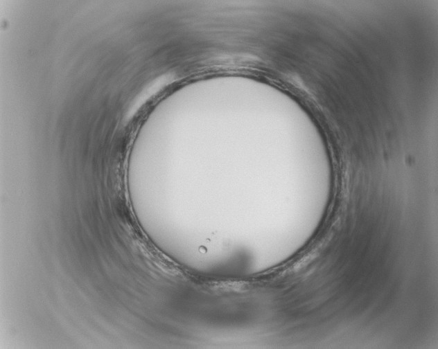 X0000054401211200508262222