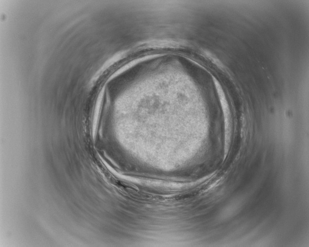 X0000054401213200508262222