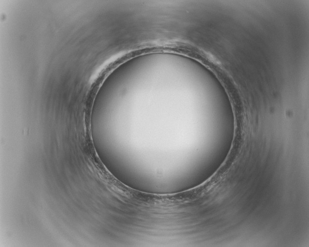 X0000054401214200508262222