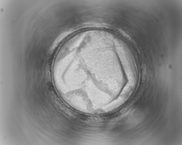 X0000054401215200508262222