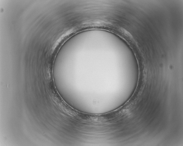 X0000054401218200508262222