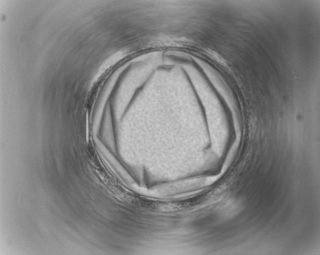 X0000054401219200508262222