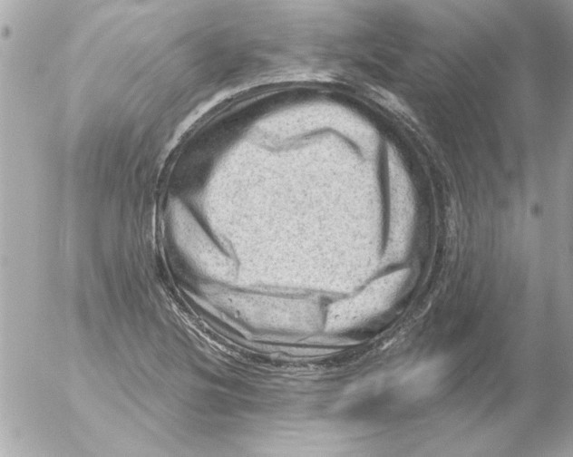 X0000054401220200508262222