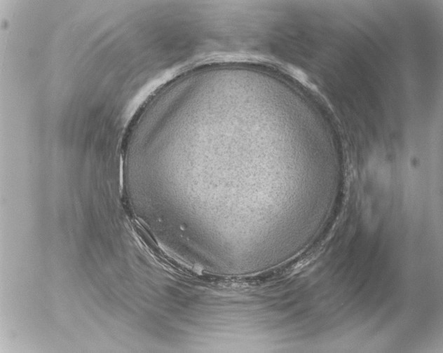 X0000054401221200508262222