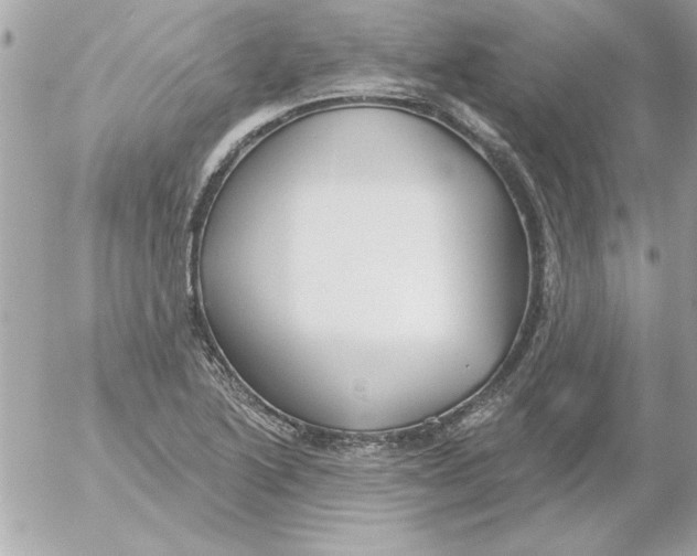 X0000054401222200508262222