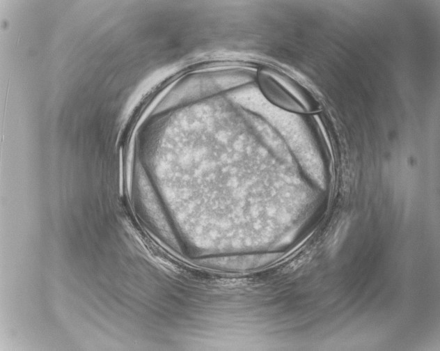 X0000054401223200508262222