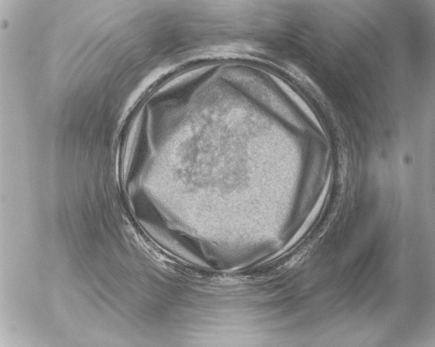 X0000054401224200508262222