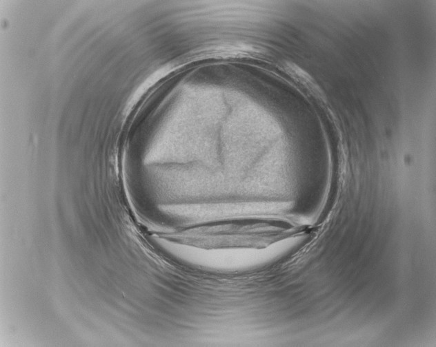 X0000054401226200508262223