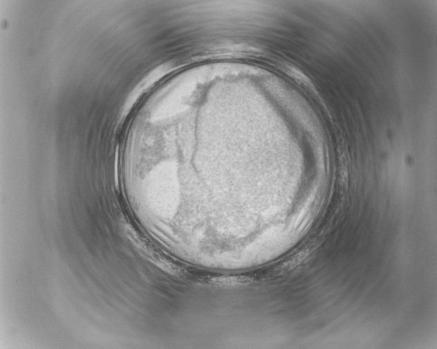 X0000054401227200508262223