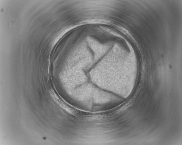 X0000054401228200508262223