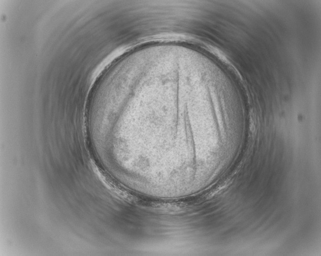 X0000054401229200508262223