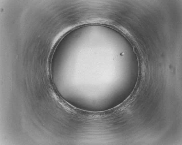 X0000054401230200508262223