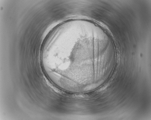 X0000054401231200508262223