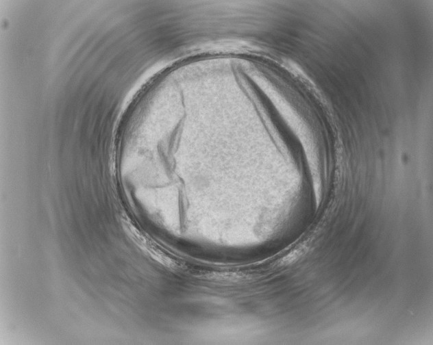 X0000054401232200508262223