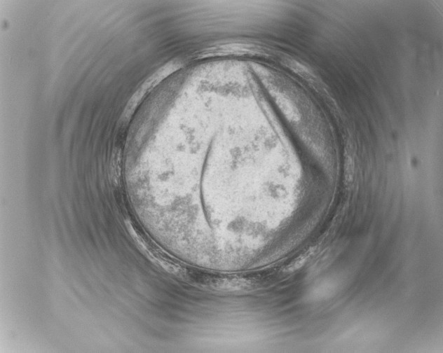 X0000054401233200508262223