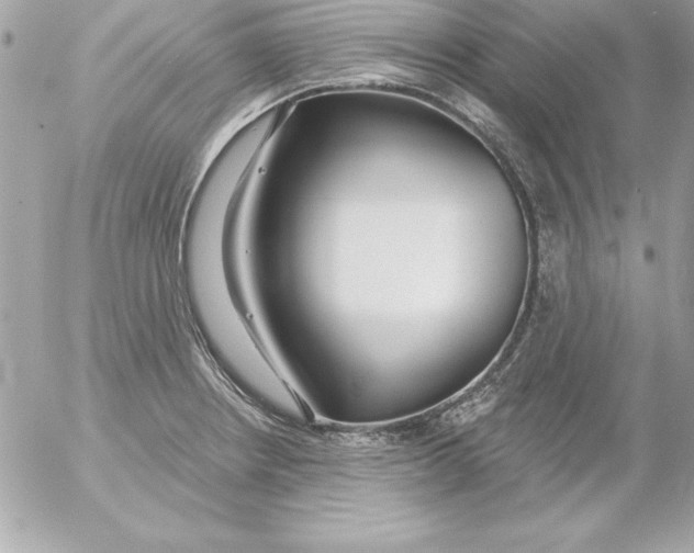 X0000054401234200508262223