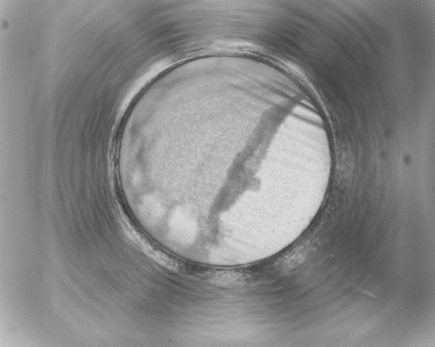 X0000054401235200508262223