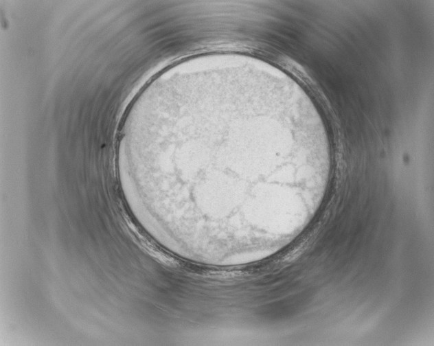 X0000054401236200508262223