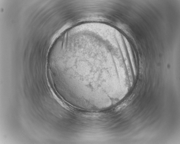 X0000054401237200508262223