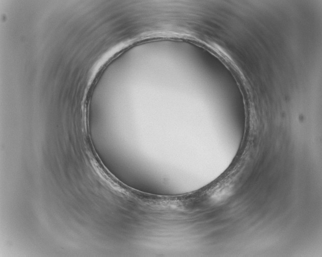 X0000054401238200508262223