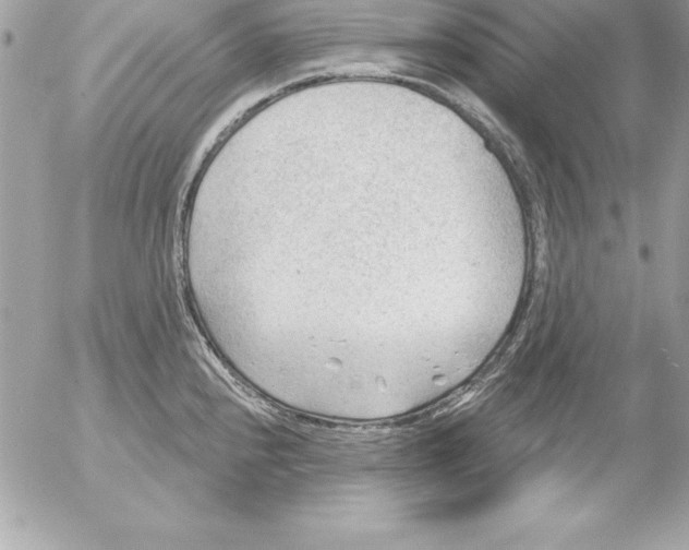 X0000054401240200508262223