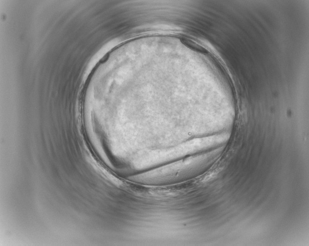 X0000054401243200508262223