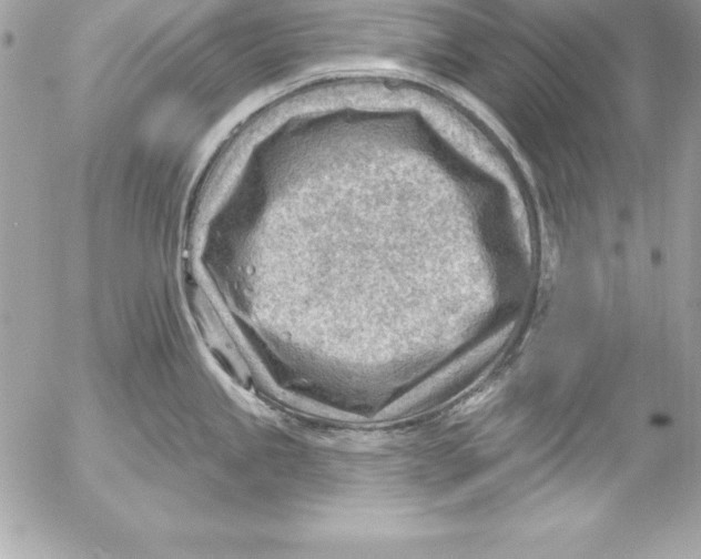 X0000054401245200508262223