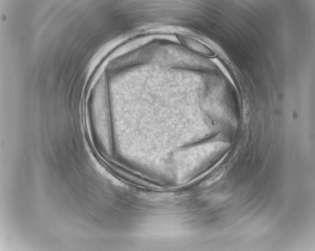 X0000054401247200508262223