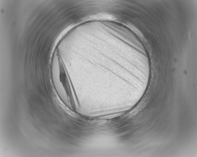 X0000054401248200508262223