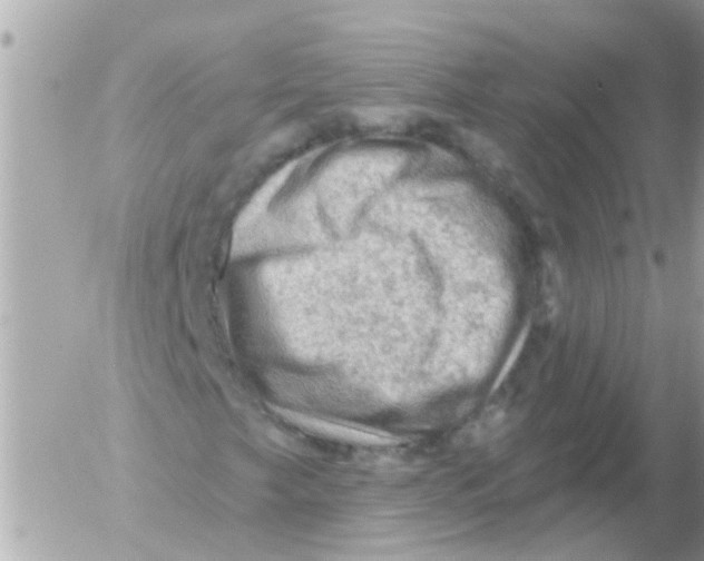 X0000054401249200508262222