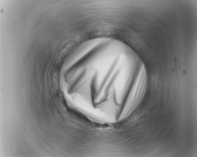 X0000054401250200508262222