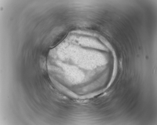 X0000054401251200508262222