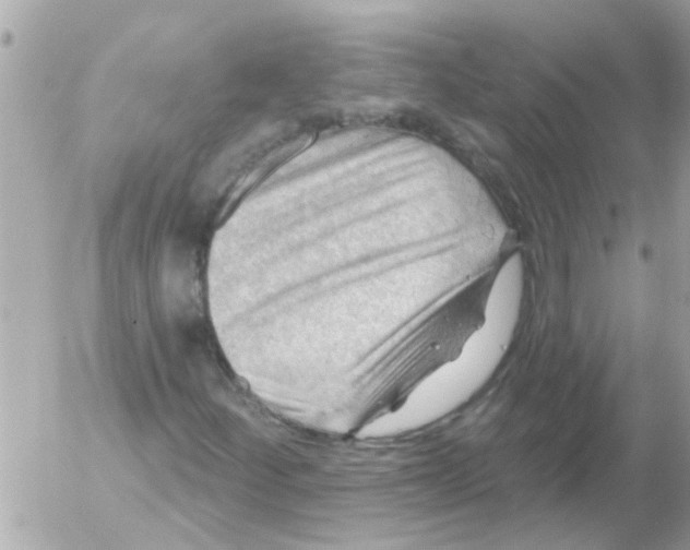 X0000054401252200508262222