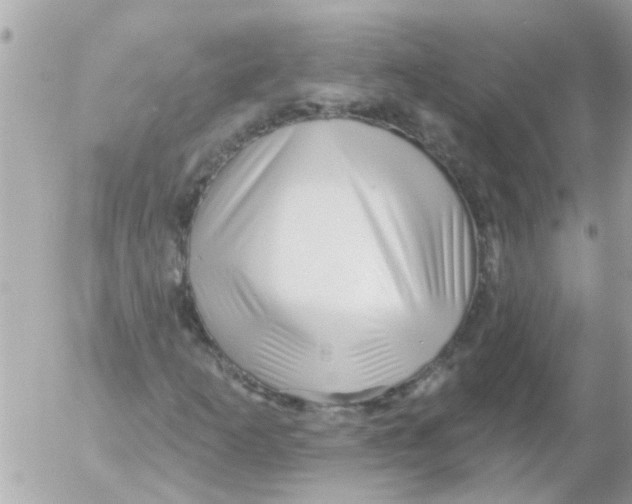 X0000054401253200508262222