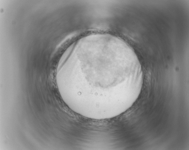 X0000054401254200508262222