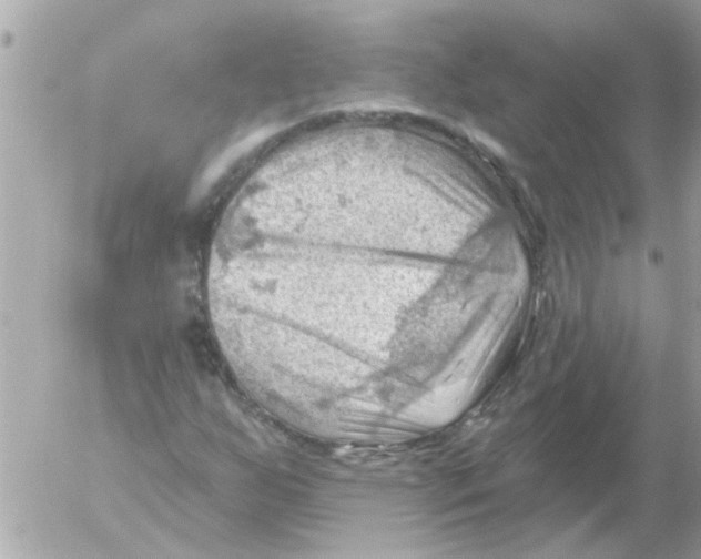 X0000054401255200508262222