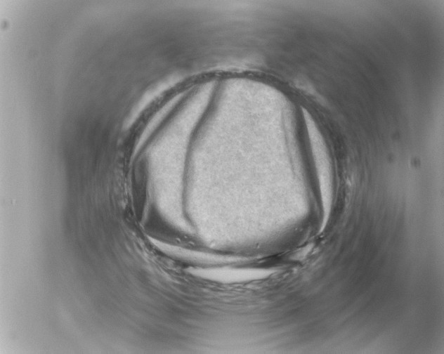 X0000054401256200508262222