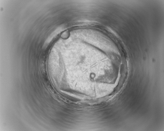 X0000054401259200508262222