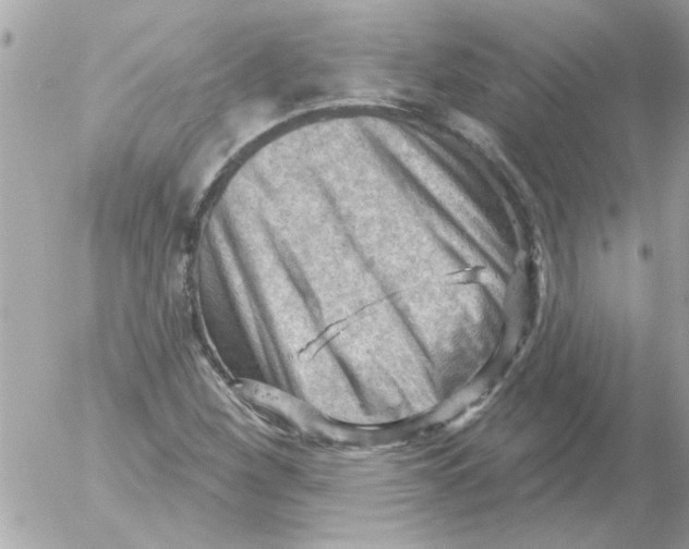 X0000054401260200508262222