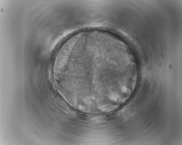 X0000054401262200508262222