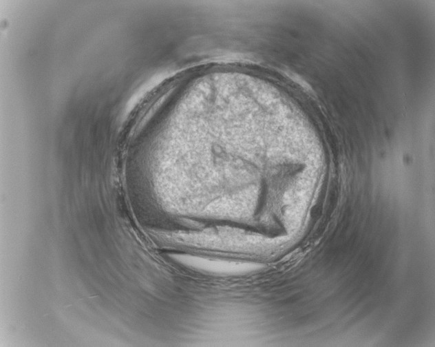 X0000054401263200508262222