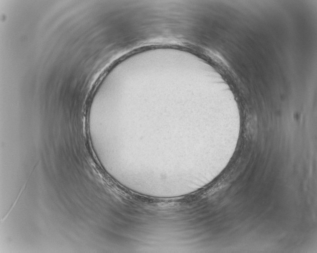 X0000054401268200508262222