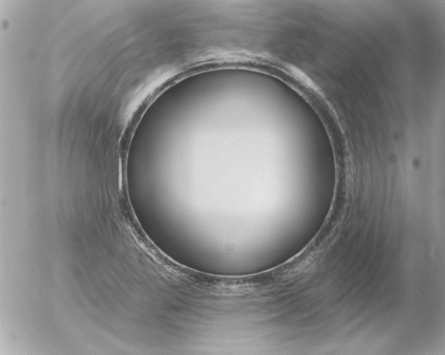 X0000054401269200508262222