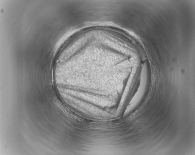 X0000054401271200508262222