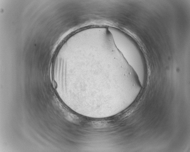 X0000054401272200508262222