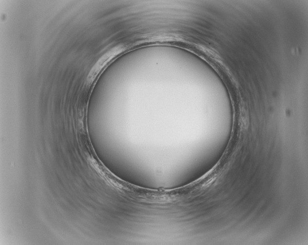 X0000054401273200508262222