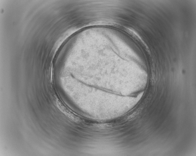 X0000054401276200508262222