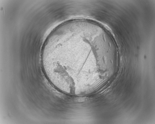 X0000054401279200508262222