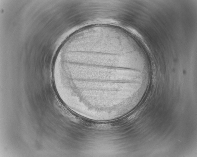 X0000054401280200508262222