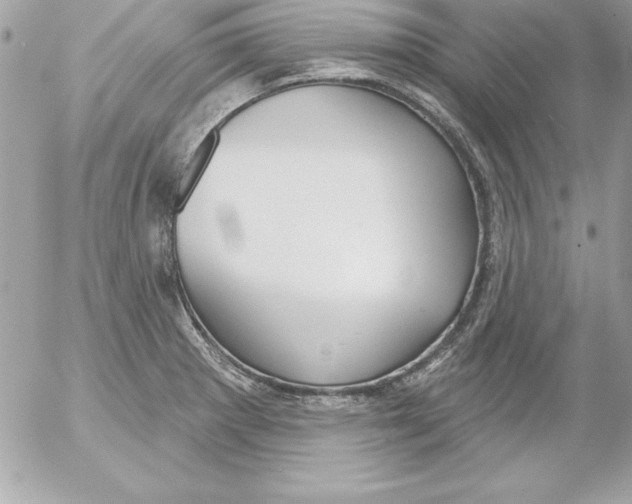 X0000054401281200508262222